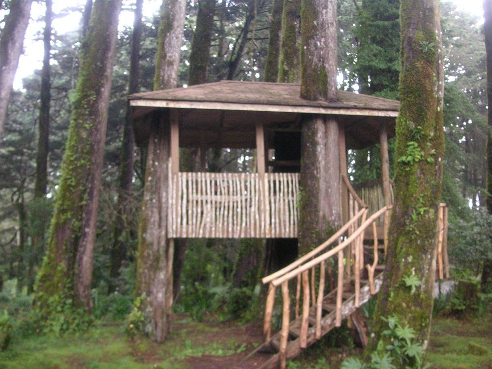 Hotel Chalet Tirol Heredia Esterno foto